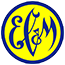 徽标-ECM.PNG